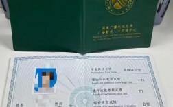 甘肅全媒體運營師(運營師是干嘛的)