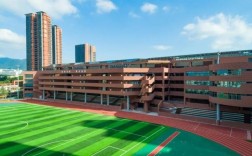 深圳學校(深圳技術大學招生要求)