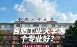 合肥工業(yè)大學(xué)211排名