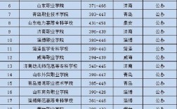 2024年山東省雙高計劃專科學校排名