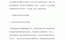 財務(wù)管理問題及解決方式(財務(wù)管理的不足和改進(jìn))