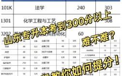 專升本總分一共多少