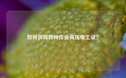 如何獲得特種作業高壓電工證？