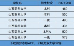 山西醫科大學是985還是211