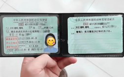 d照駕駛證自己考多少錢