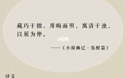 藏巧于拙的解釋_近義詞_反義詞