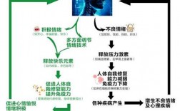 情緒的功能主要有(情緒的基本功能是什么)