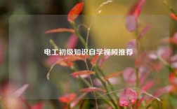 電工初級知識自學(xué)視頻推薦