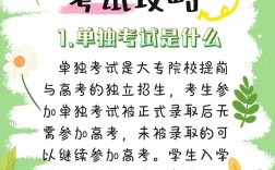 單獨考試考生是什么意思