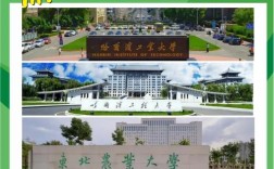 東北農(nóng)業(yè)大學(xué)是雙一流嗎