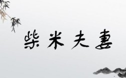 柴米夫妻是什么意思_近義詞_來源