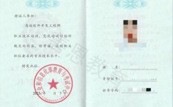 電氣儀表工程師證(電氣行業(yè)十大證書)