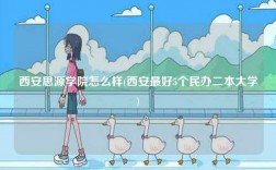 西安思源學(xué)院怎么樣(西安最好5個民辦二本大學(xué))