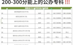 二百多分能上什么專科學校