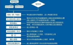 大專報名入口官網(wǎng)(成人大專報考網(wǎng)上報名)