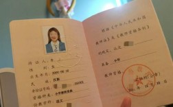 2024小學科學老師需要什么資格證