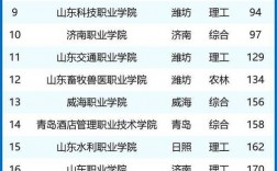 2024年山東雙高計(jì)劃專科學(xué)校排名