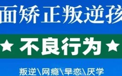 湖北武漢叛逆孩子\戒網癮 \軍事化特訓管理學校-紐特教育