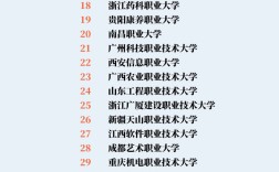 職業本科是什么