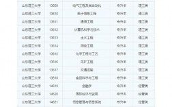 2024年山東理工大學(xué)的王牌專業(yè)排名
