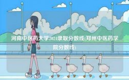河南中醫藥大學2024錄取分數線(鄭州中醫藥學院分數線)