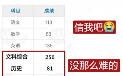 如何在查文綜的單科分數(shù)？具體步驟是什么？