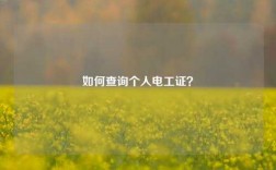 如何查詢個(gè)人電工證？