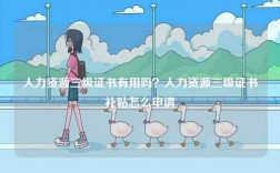 人力資源三級證書有用嗎？人力資源三級證書補貼怎么申請