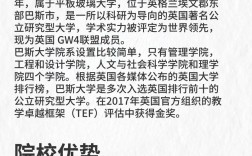 巴斯大學相當于國內哪個大學？世界排名多少？