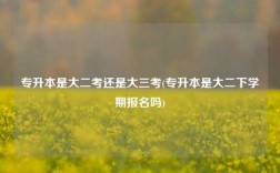 專升本是大二考還是大三考(專升本是大二下學期報名嗎)