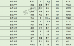 魯東大學分數線