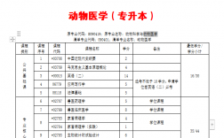 專本套讀在哪里可以報名
