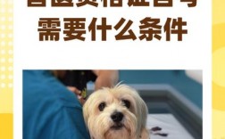 獸醫證自考需要什么條件