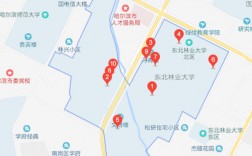 東北林業大學地址(張雪峰說東北林業大學的視頻)