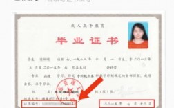函授屬于什么學歷形式(成教和網教哪個好)