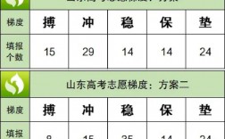山東高考志愿96個志愿如何錄取