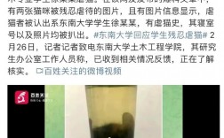南大復試刷人很嚴重(考研難度大嗎)
