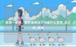 舍得一身剮，敢把皇帝拉下馬是什么意思_近義詞_來源
