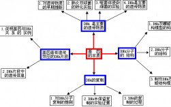 基因的化學本質(基因合成的原理)