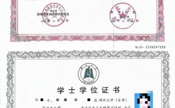 自考本科怎么補(bǔ)學(xué)士學(xué)位