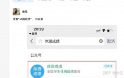 大學生體測成績在哪里查詢