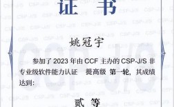 ccf認證含金量怎么樣(csp-j報名官網入口)