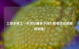 工地水電工一天可以賺多少錢(qián)？看看這些數(shù)據(jù)就知道！