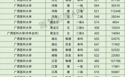 2024年廣西醫(yī)科大學(xué)的排名