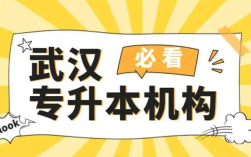 武漢專升本培訓機構排名怎么樣？推薦幾家口碑不錯的機構 