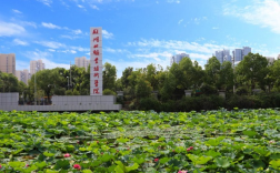 湖北大學職業技術學院簡介