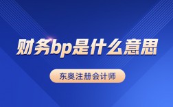 財務bp是什么意思