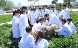 畜牧業專科學校