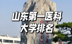 2024年山東醫學院排名