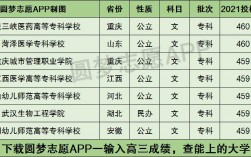 460分文科能上什么本科大學